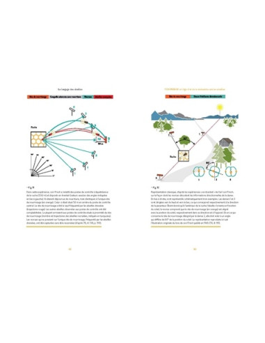 Le Langage des abeilles : plus qu'une simple danse