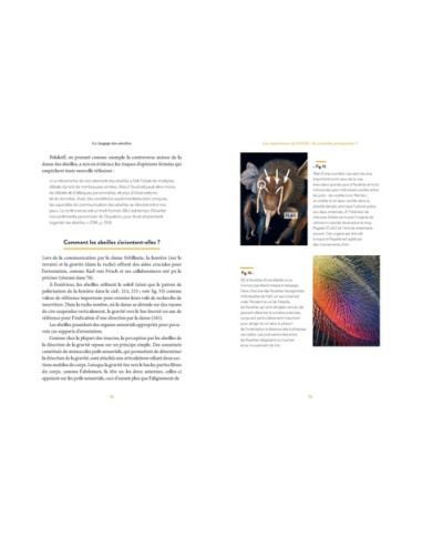 Le Langage des abeilles : plus qu'une simple danse