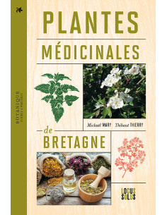 Plantes médicinales de Bretagne