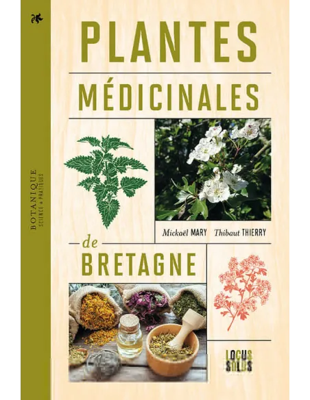 Plantes médicinales de Bretagne