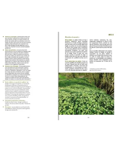 Plantes médicinales de Bretagne