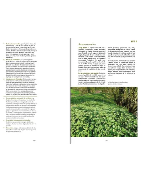 Plantes médicinales de Bretagne