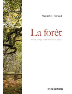 La forêt : Histoire, usages, représentations et enjeux