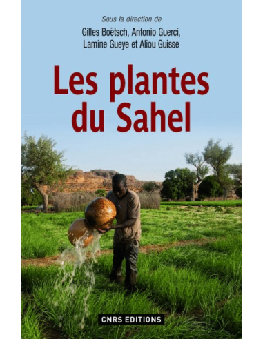 Les plantes du Sahel