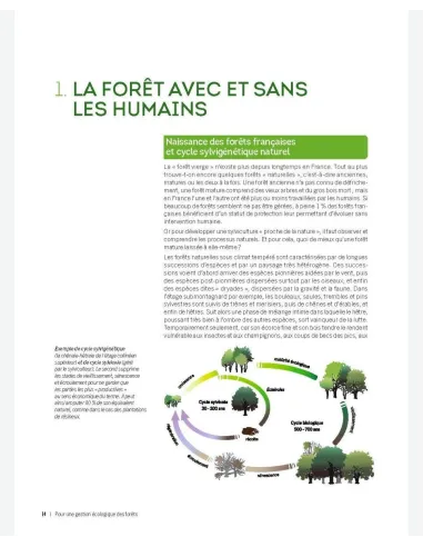 Récolter du bois dans une forêt vivante