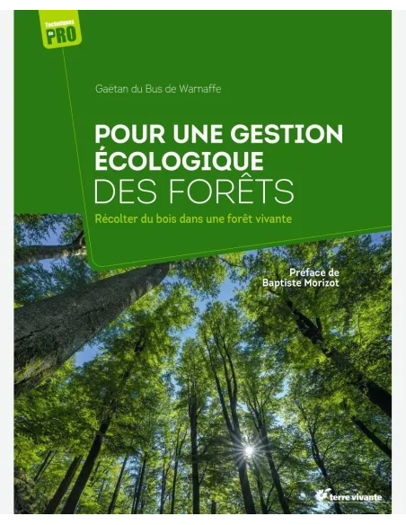 Récolter du bois dans une forêt vivante