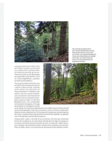 Récolter du bois dans une forêt vivante