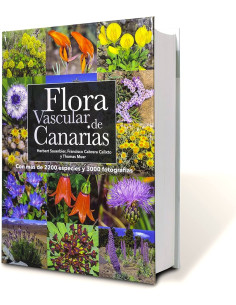 Flora vascular de Canarias