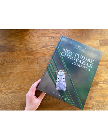 Noctuidae Europaeae Essential