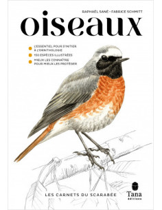Les Carnets du Scarabée - Oiseaux - Guide pratique pour apprendre à observer les oiseaux, à les approcher et les identifier.