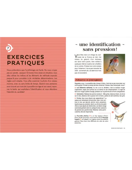 Les Carnets du Scarabée - Oiseaux