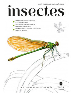 Les Carnets du Scarabée - Insectes - Guide pratique illustré pour découvrir l'entomologie en amateur.