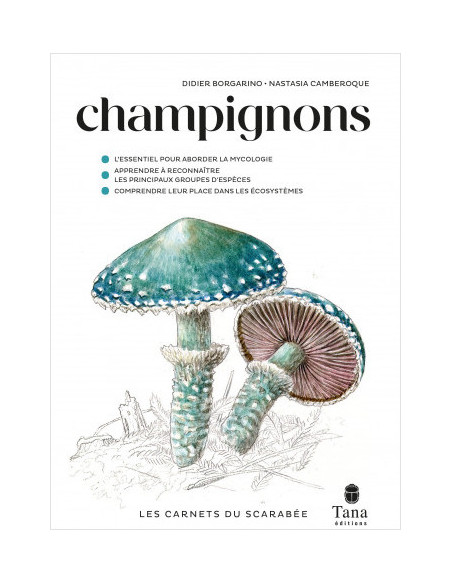 Les Carnets du Scarabée - Champignons