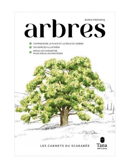 Les Carnets du Scarabée - Arbres