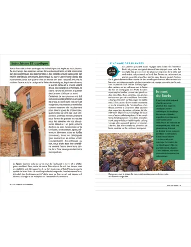 Les Carnets du Scarabée - Arbres