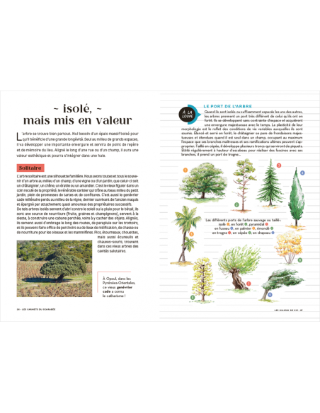 Les Carnets du Scarabée - Arbres