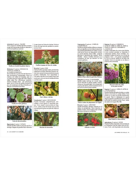 Les Carnets du Scarabée - Arbres