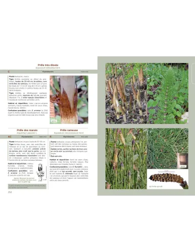 Les Plantes de Dordognne