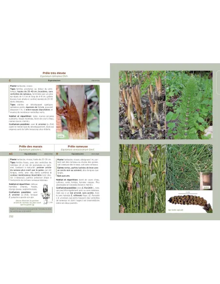 Les Plantes de Dordognne