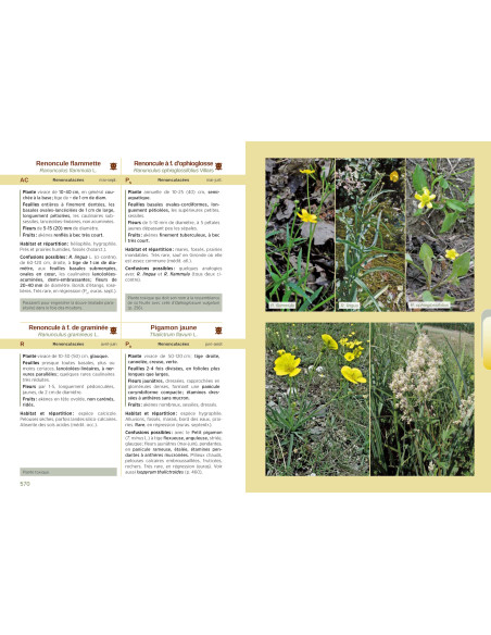 Les Plantes de Dordognne