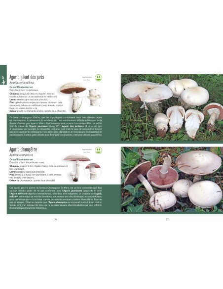 Guide écologique des champignons Périgord, Quercy et départements limitrophes