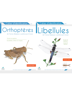 Pack cahier des orthoptères FBLS (2ème édition) et cahier des libellules FBLS (3 ème édition)