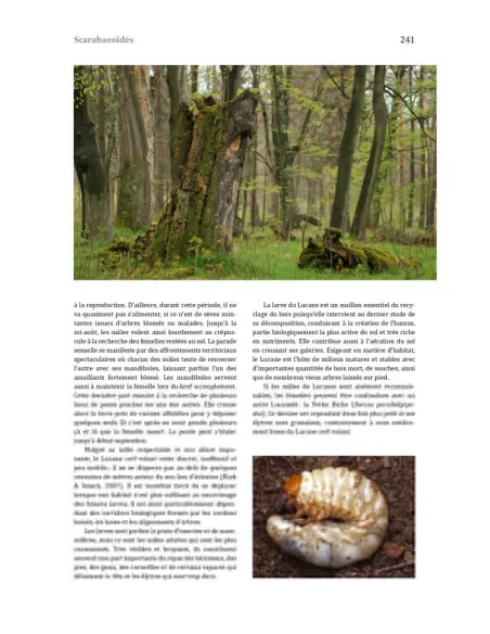 Les coléoptères du bassin genevois