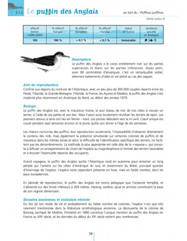 Les Oiseaux marins nicheurs de Bretagne