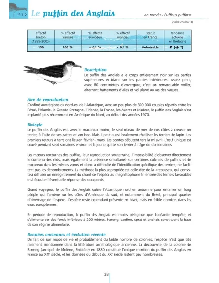 Les Oiseaux marins nicheurs de Bretagne