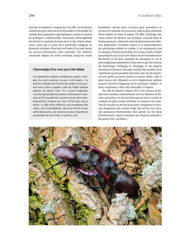 Les coléoptères du bassin genevois