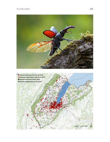 Les coléoptères du bassin genevois