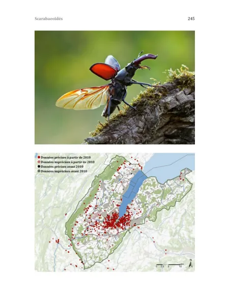 Les coléoptères du bassin genevois
