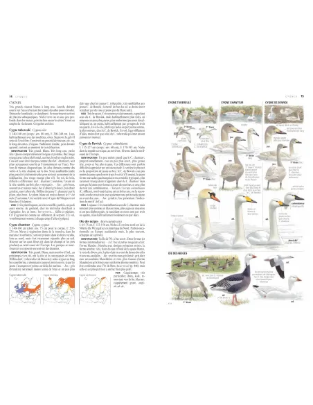 Le guide ornitho (3ème édition) - Le guide des oiseaux d'Europe, d'Afrique du Nord et du Moyen-Orient