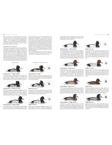 Le guide ornitho (3ème édition) - Le...