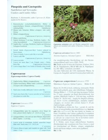 Flora von Rhodos und Chalki, Volume 1