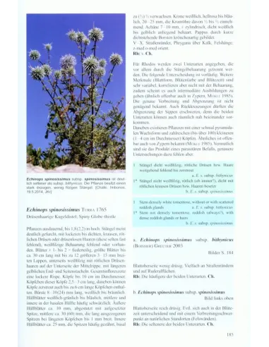 Flora von Rhodos und Chalki, Band 1