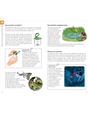 Reconnaitre facilement les insectes