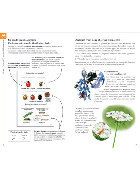 Reconnaitre facilement les insectes