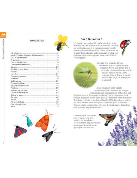 Reconnaitre facilement les insectes
