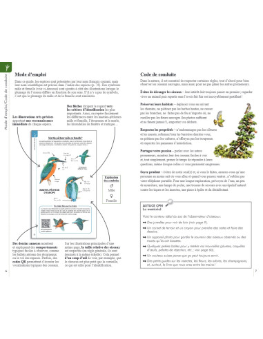 Reconnaitre facilement les oiseaux