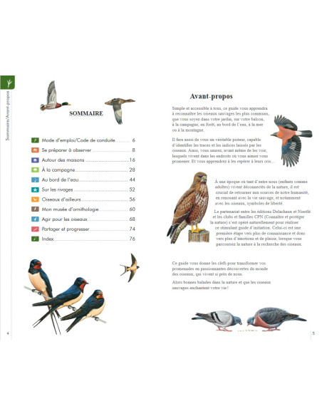 Reconnaitre facilement les oiseaux