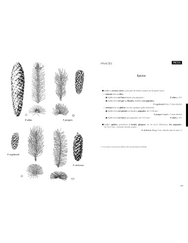 FLORE FORESTIERE FRANCAISE - TOME 2...