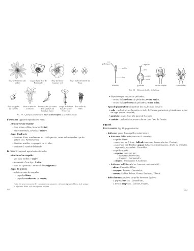 Flore forestière française - Tome 3 Région méditerranéenne