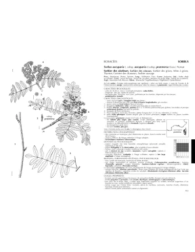 Flore forestière française - Tome 3 Région méditerranéenne