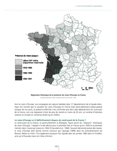 Loutre et autres mammifères...