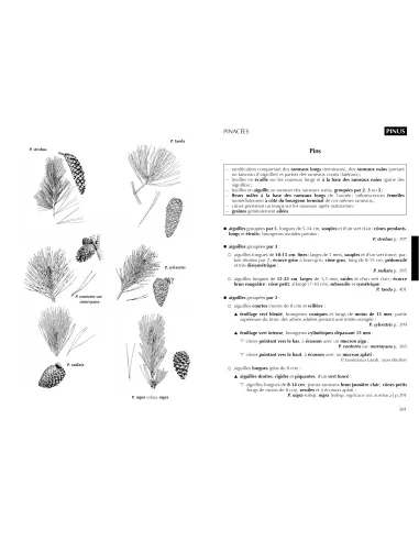 Nouvelle édition - Flore forestière...