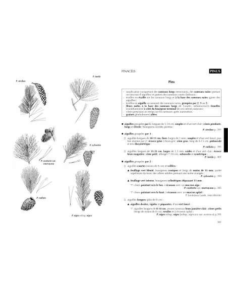 Nouvelle édition - Flore forestière française - Tome 1 Plaines et collines