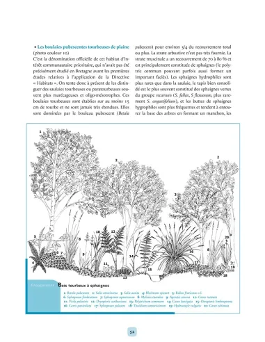 Les Tourbières de Bretagne