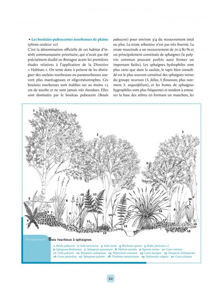 Les Tourbières de Bretagne