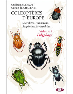 Coléoptères d'Europe, Scarabées, Hannetons, Staphylins, Volume 2 - Polyphaga